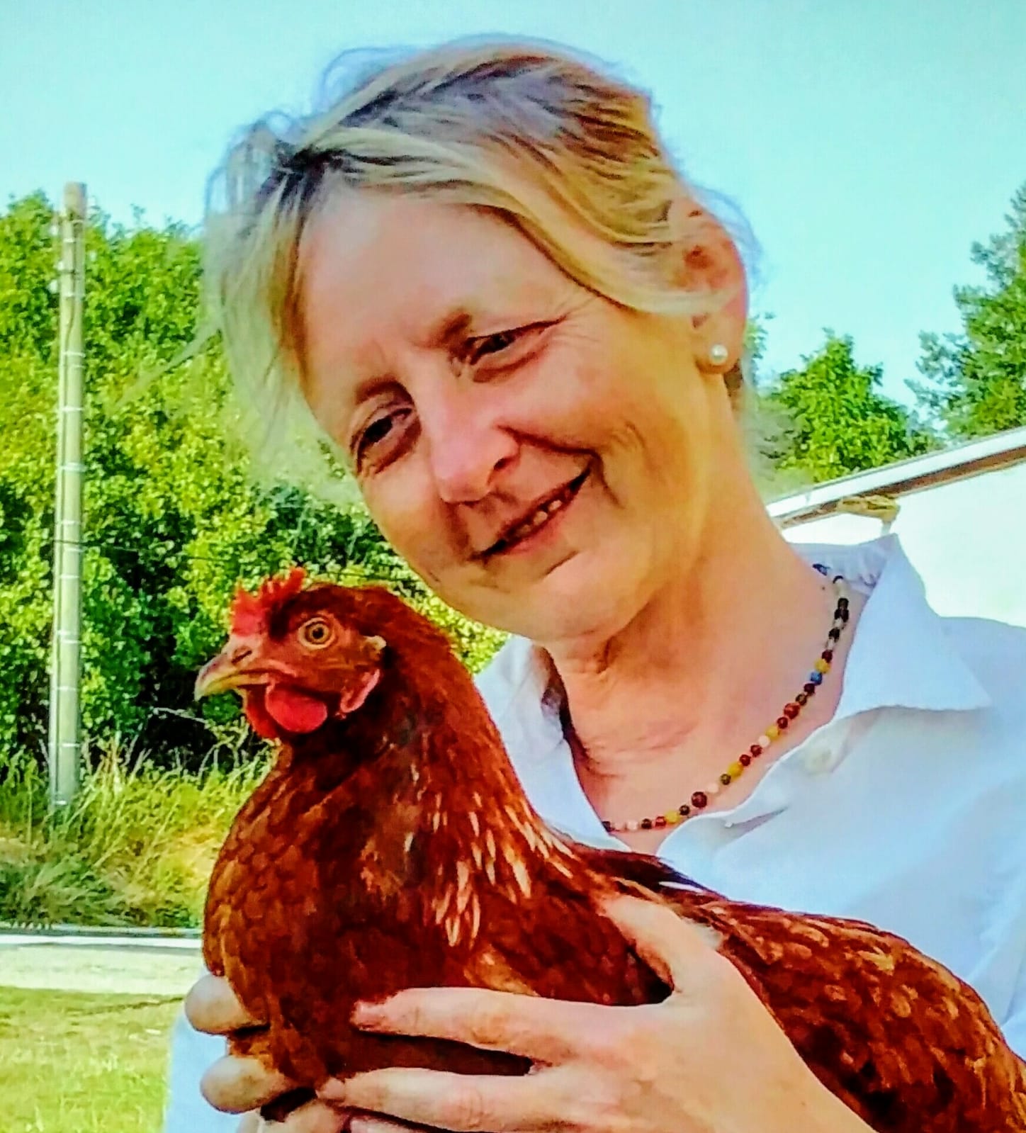 Heike